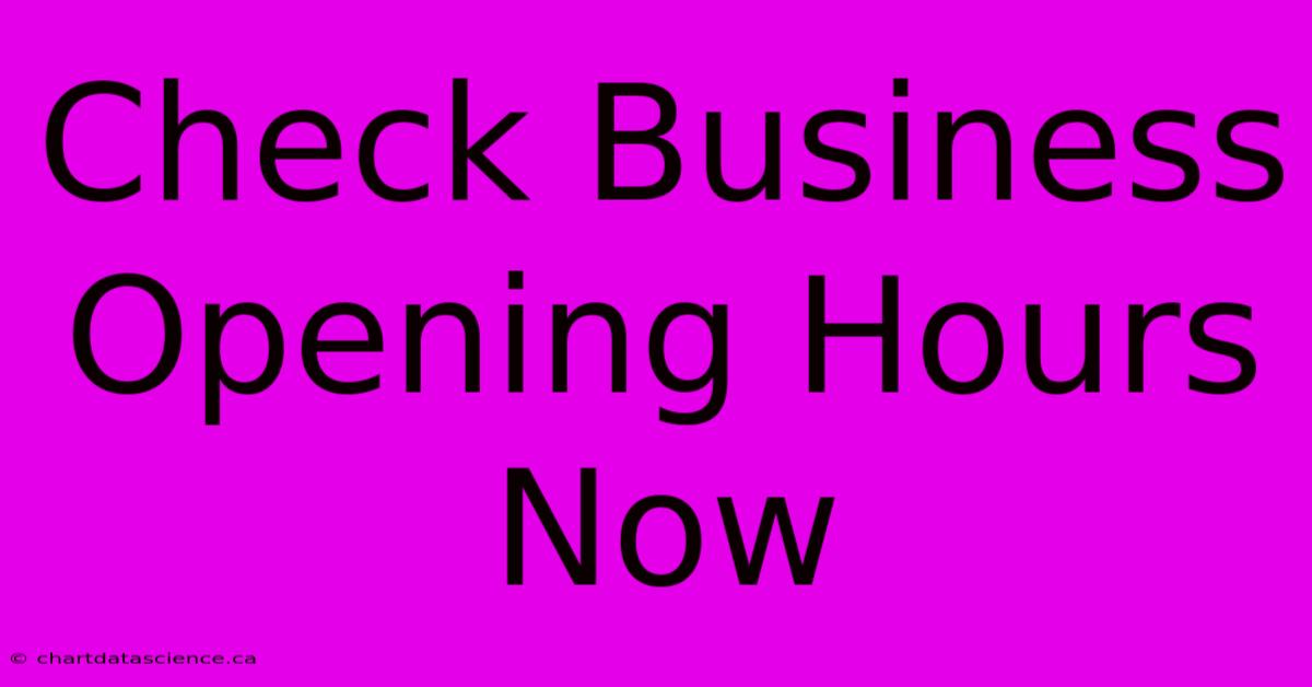 Check Business Opening Hours Now