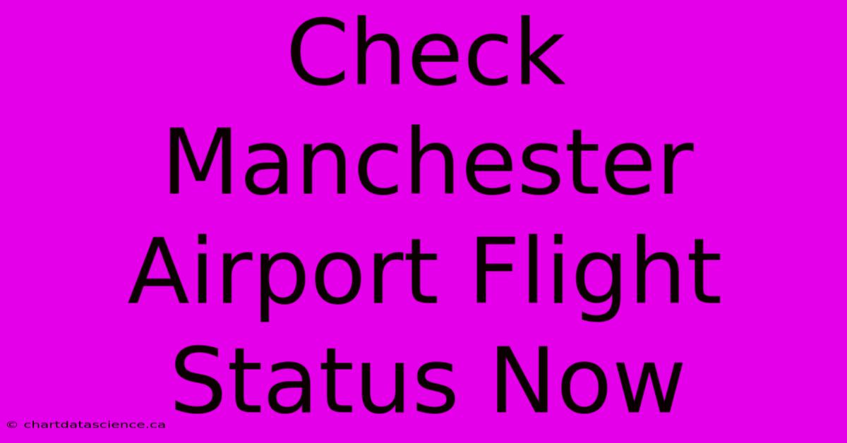 Check Manchester Airport Flight Status Now