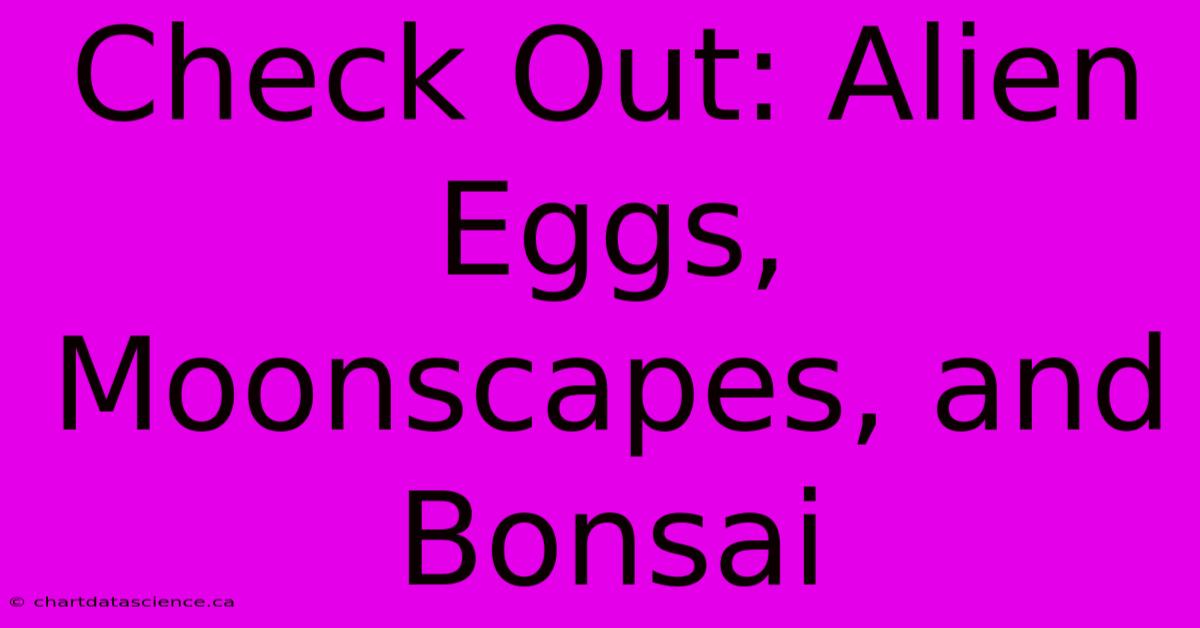 Check Out: Alien Eggs, Moonscapes, And Bonsai