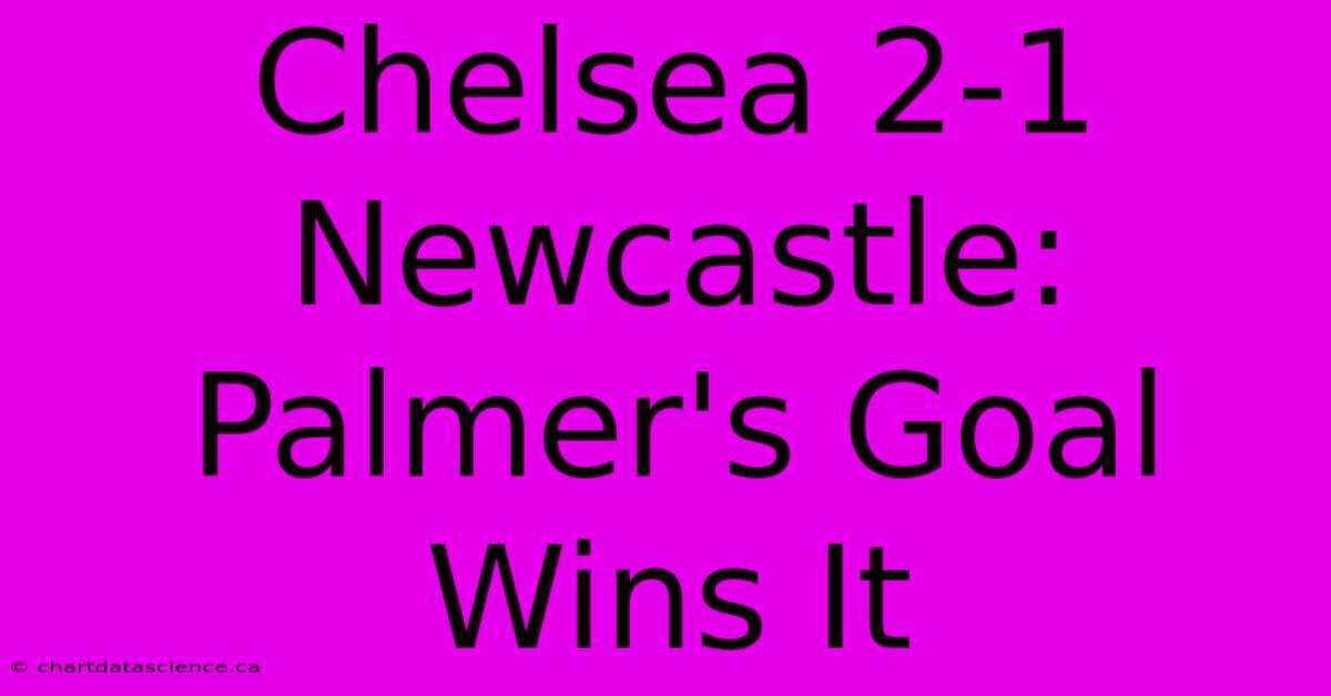 Chelsea 2-1 Newcastle: Palmer's Goal Wins It 