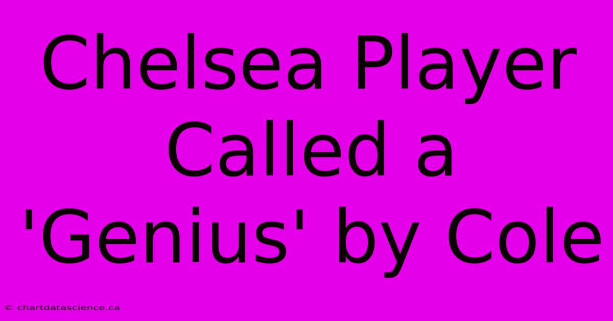 Chelsea Player Called A 'Genius' By Cole