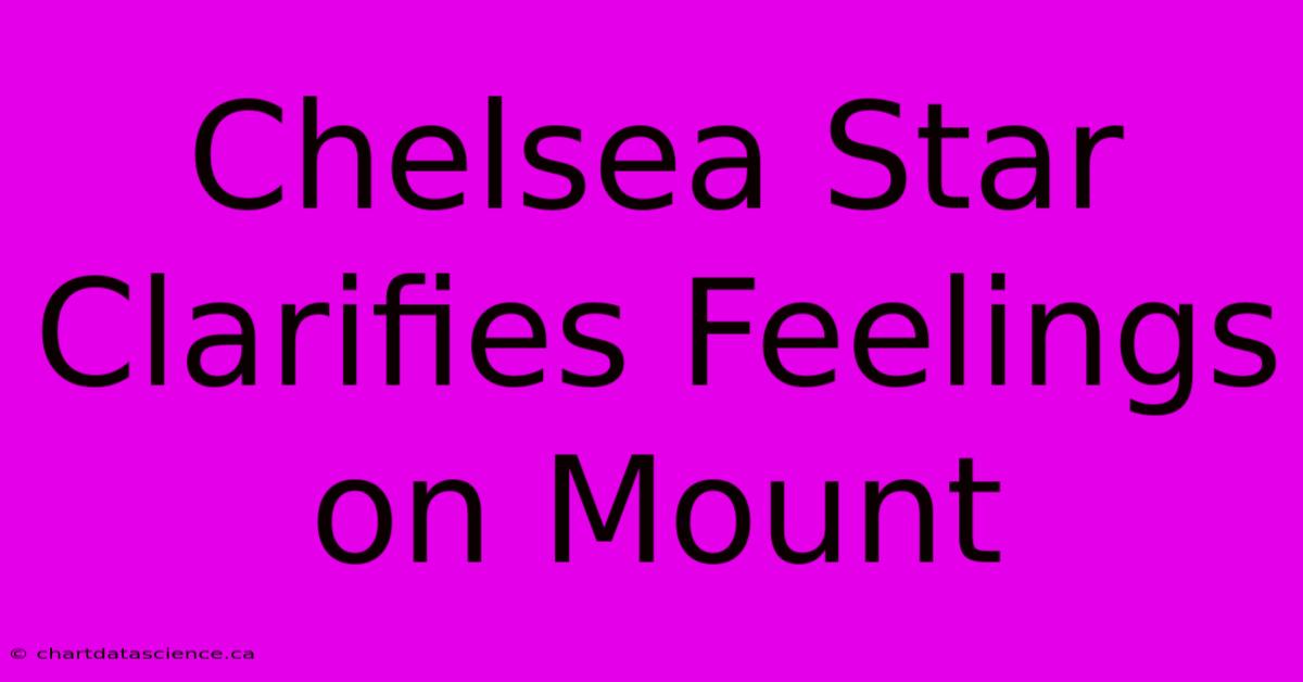 Chelsea Star Clarifies Feelings On Mount