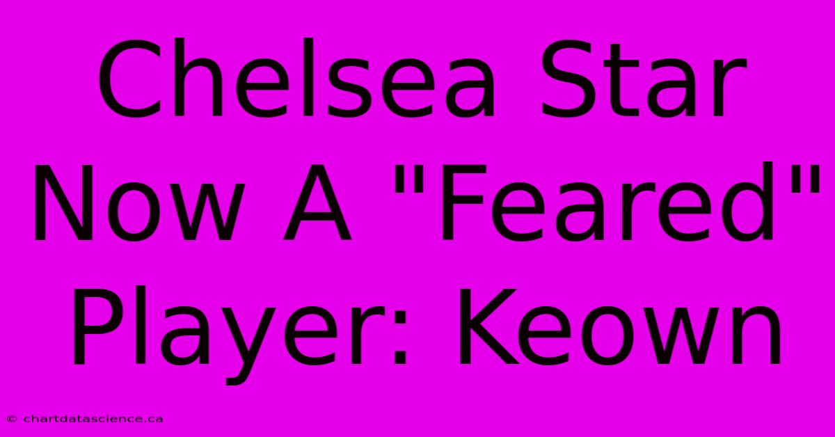 Chelsea Star Now A 