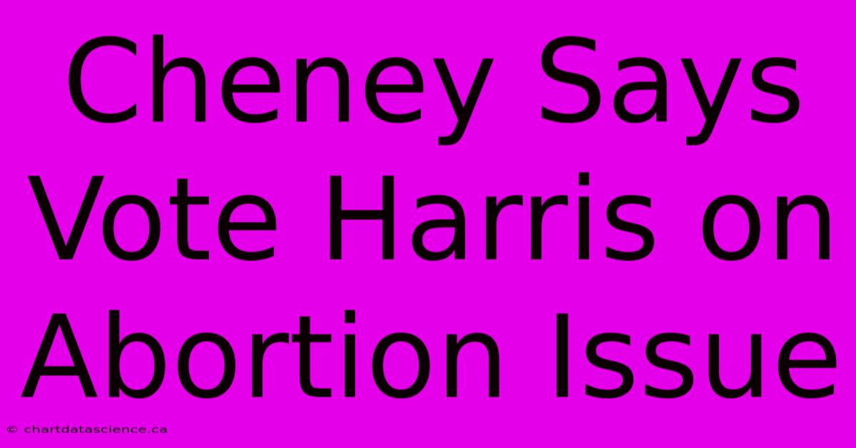 Cheney Says Vote Harris On Abortion Issue 