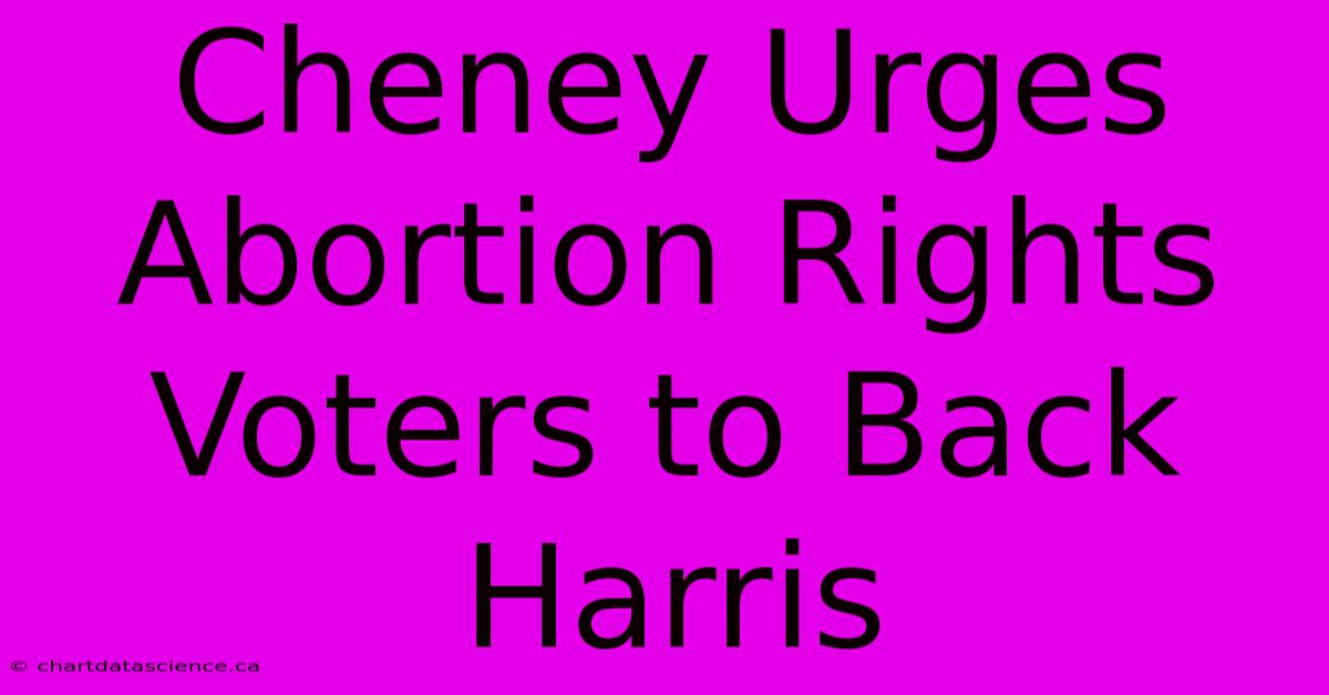 Cheney Urges Abortion Rights Voters To Back Harris