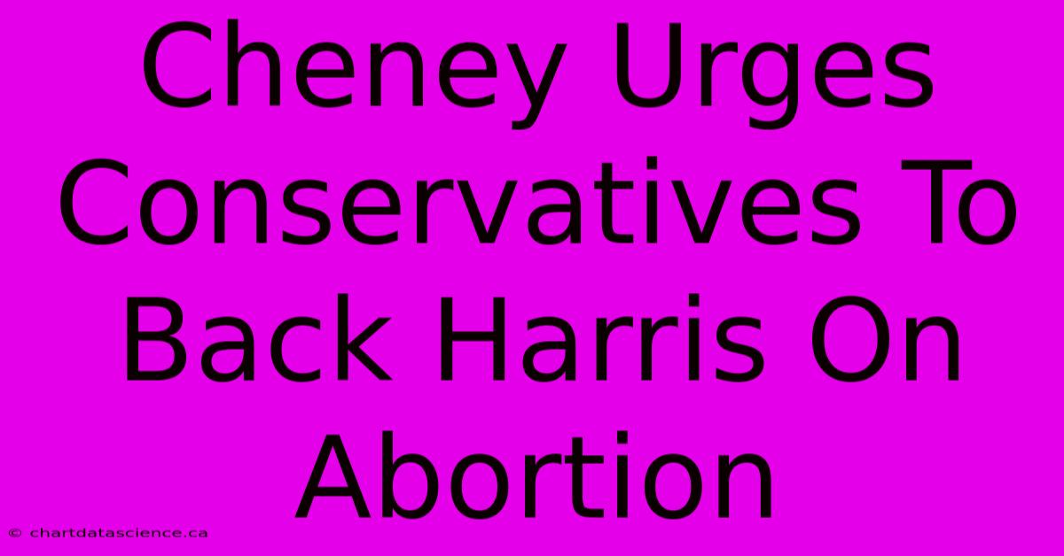 Cheney Urges Conservatives To Back Harris On Abortion