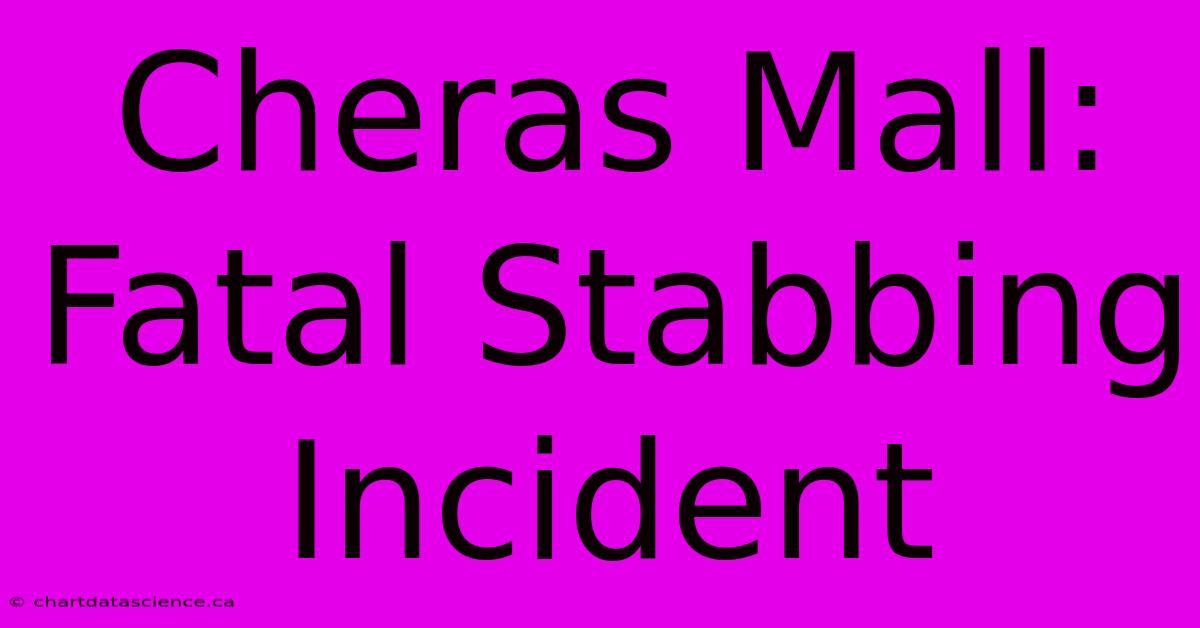 Cheras Mall: Fatal Stabbing Incident