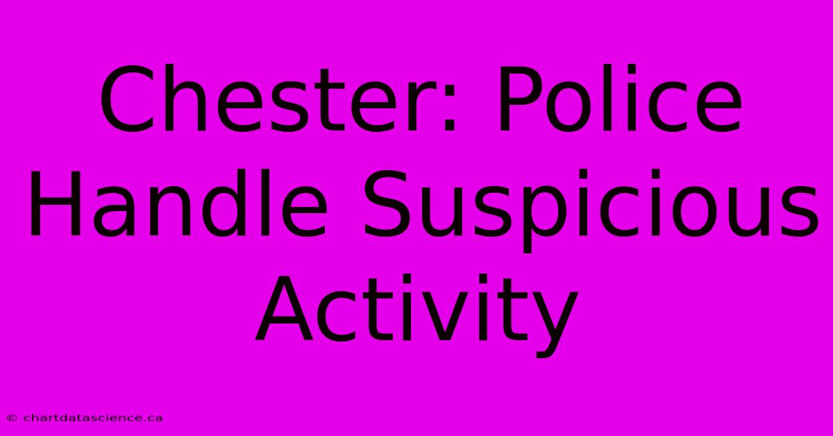 Chester: Police Handle Suspicious Activity