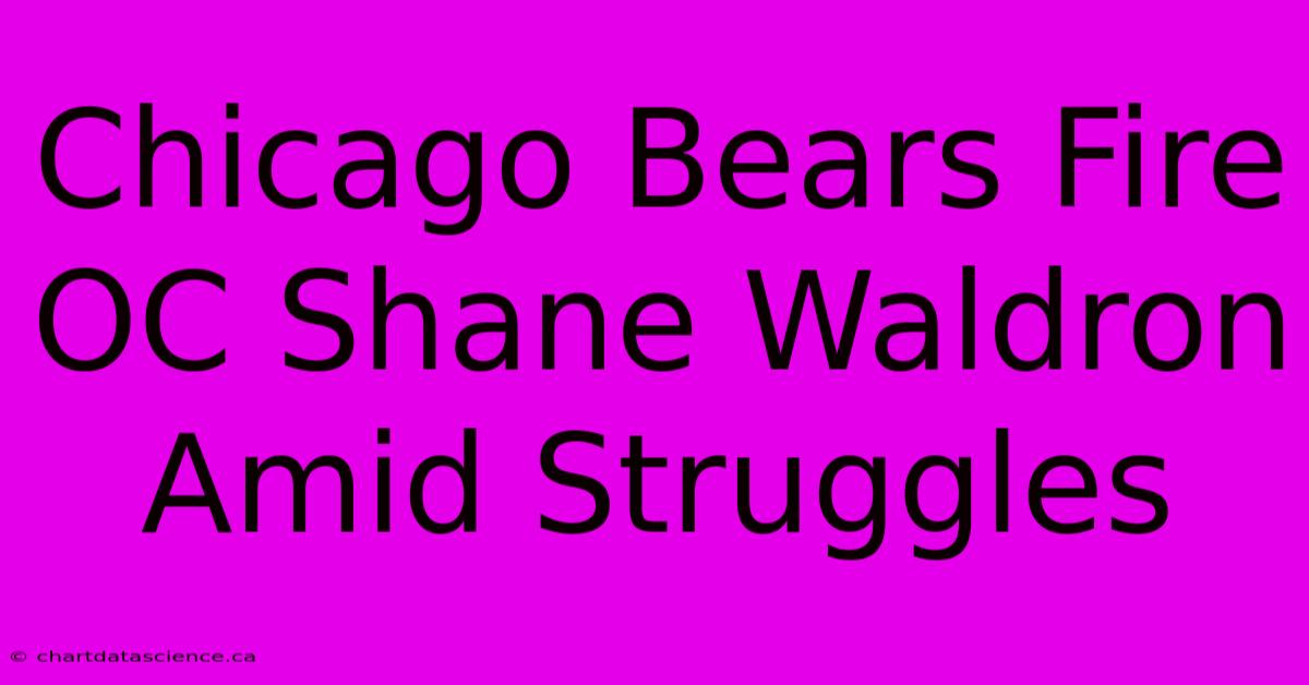 Chicago Bears Fire OC Shane Waldron Amid Struggles 