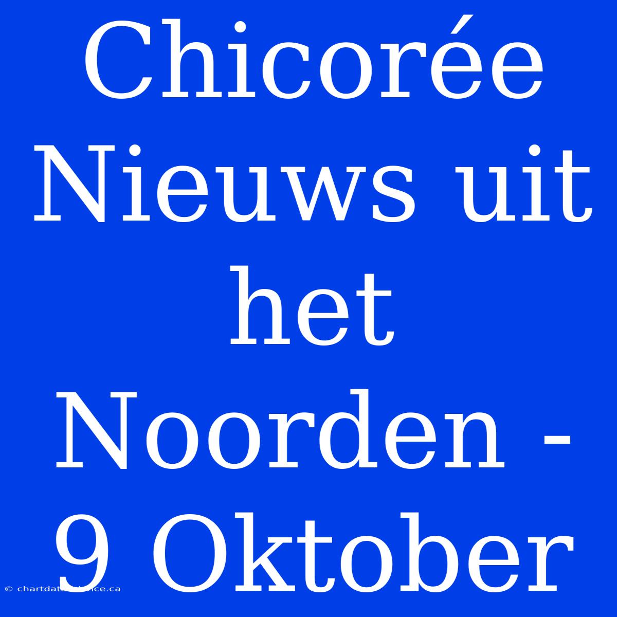 Chicorée Nieuws Uit Het Noorden - 9 Oktober