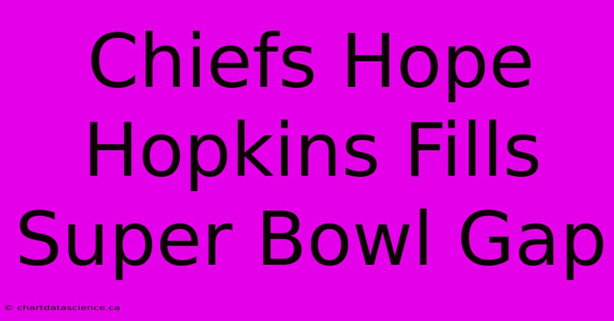 Chiefs Hope Hopkins Fills Super Bowl Gap