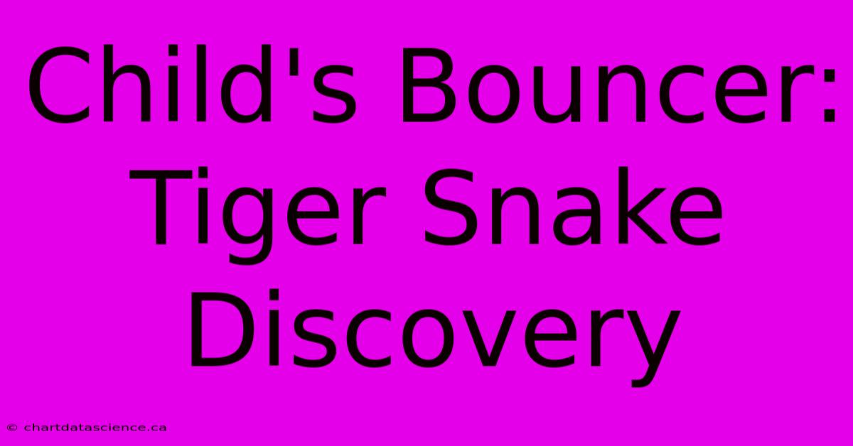 Child's Bouncer: Tiger Snake Discovery