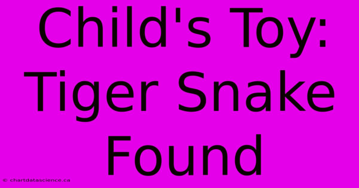 Child's Toy: Tiger Snake Found