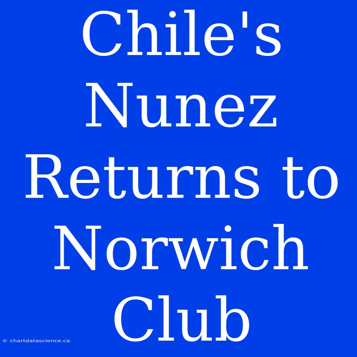 Chile's Nunez Returns To Norwich Club