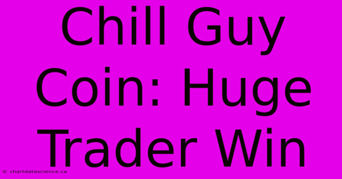 Chill Guy Coin: Huge Trader Win