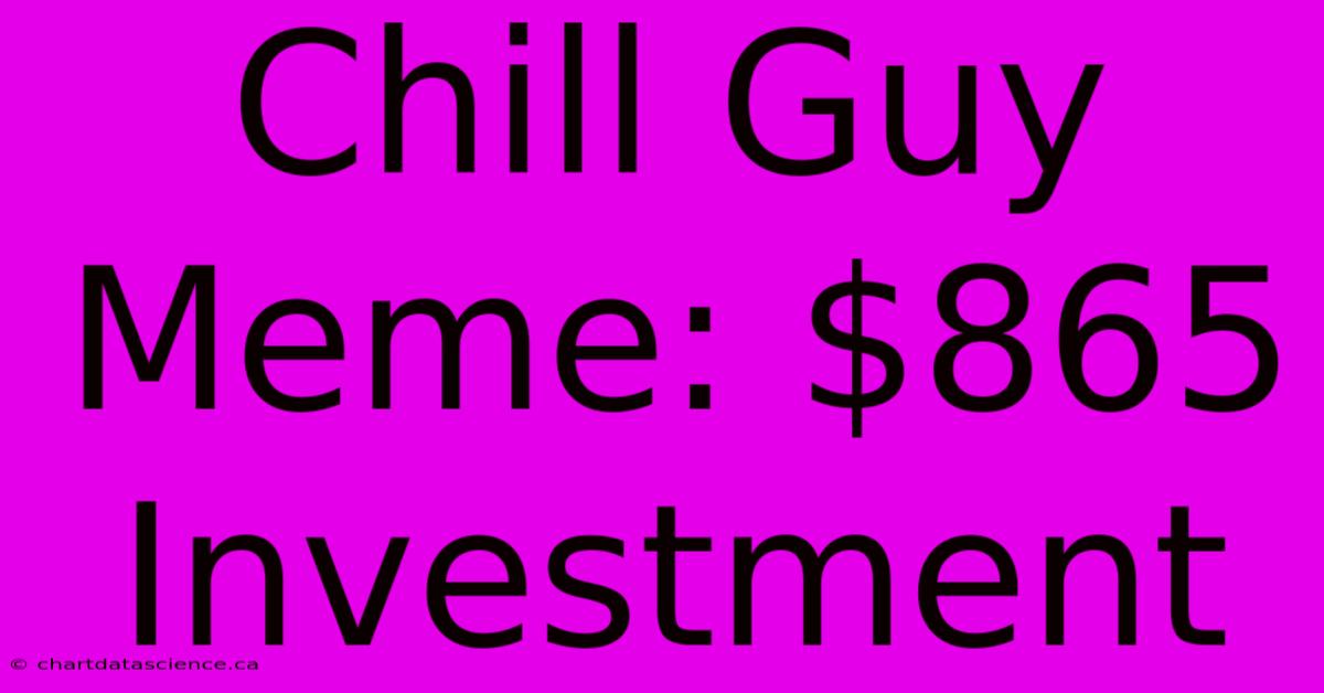 Chill Guy Meme: $865 Investment