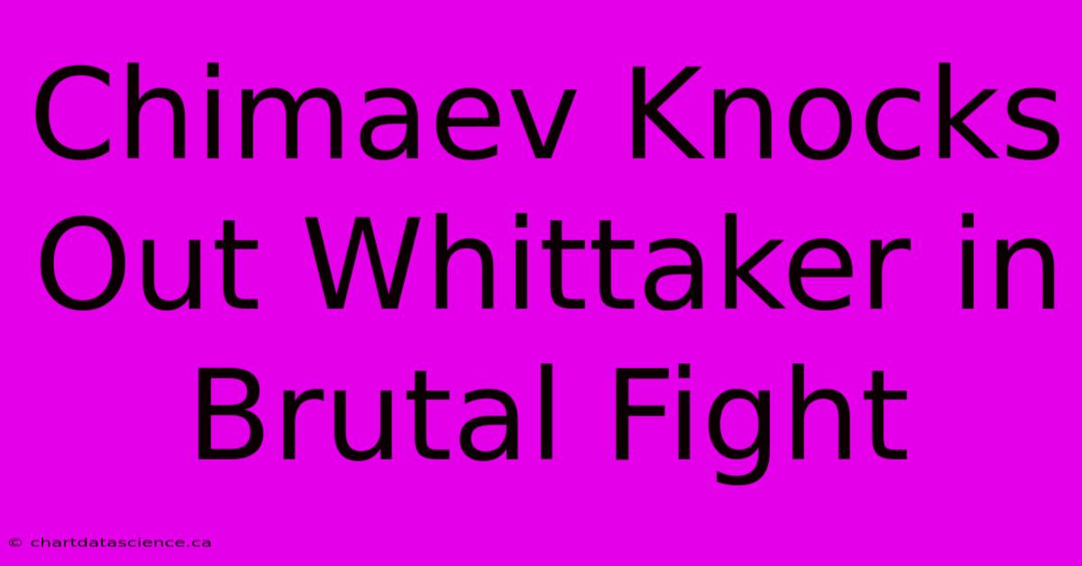 Chimaev Knocks Out Whittaker In Brutal Fight