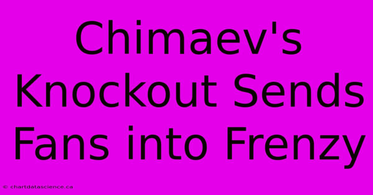 Chimaev's Knockout Sends Fans Into Frenzy 