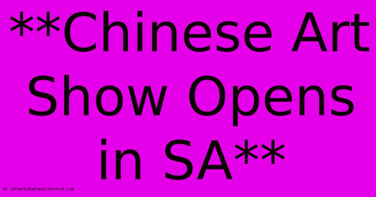 **Chinese Art Show Opens In SA**