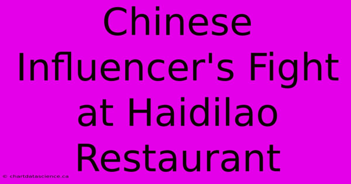 Chinese Influencer's Fight At Haidilao Restaurant