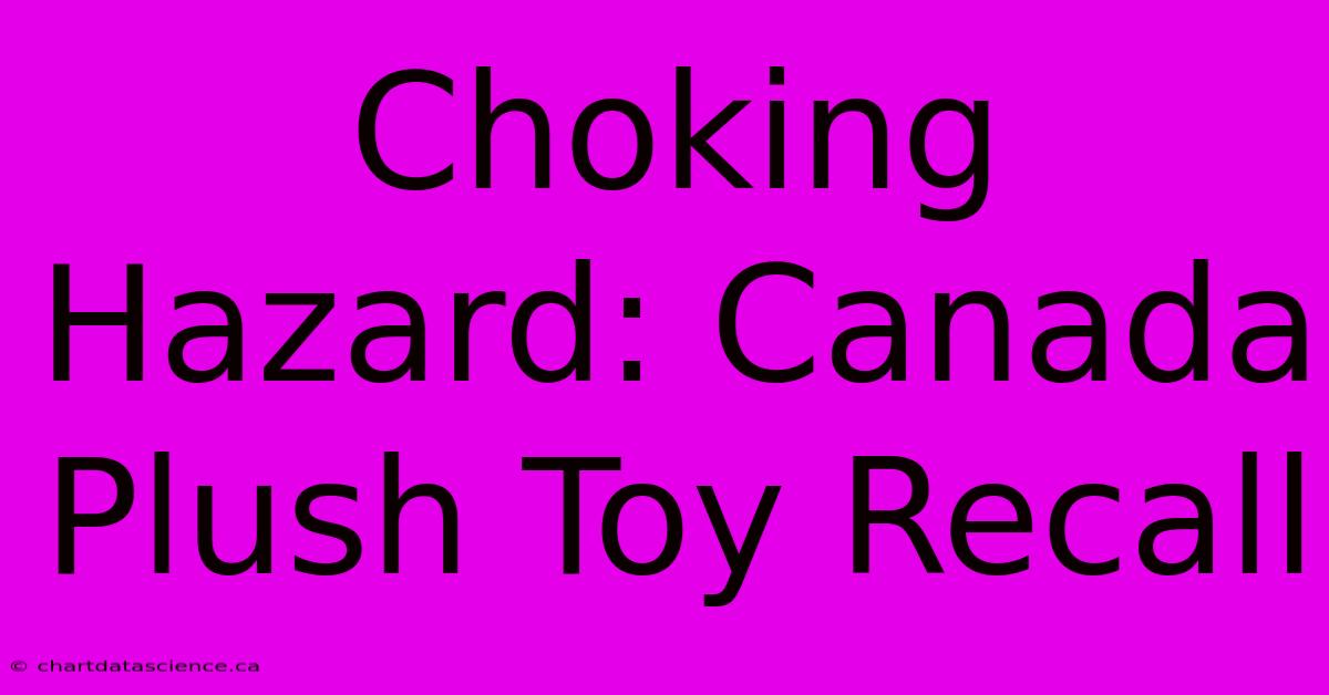 Choking Hazard: Canada Plush Toy Recall