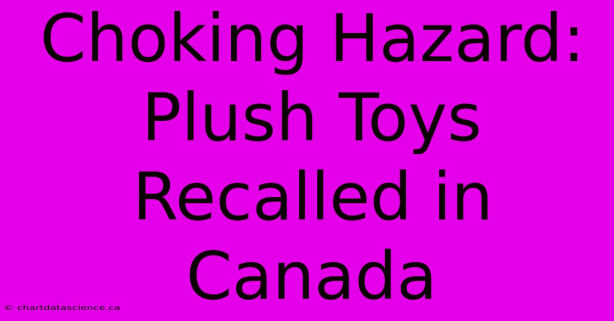 Choking Hazard: Plush Toys Recalled In Canada