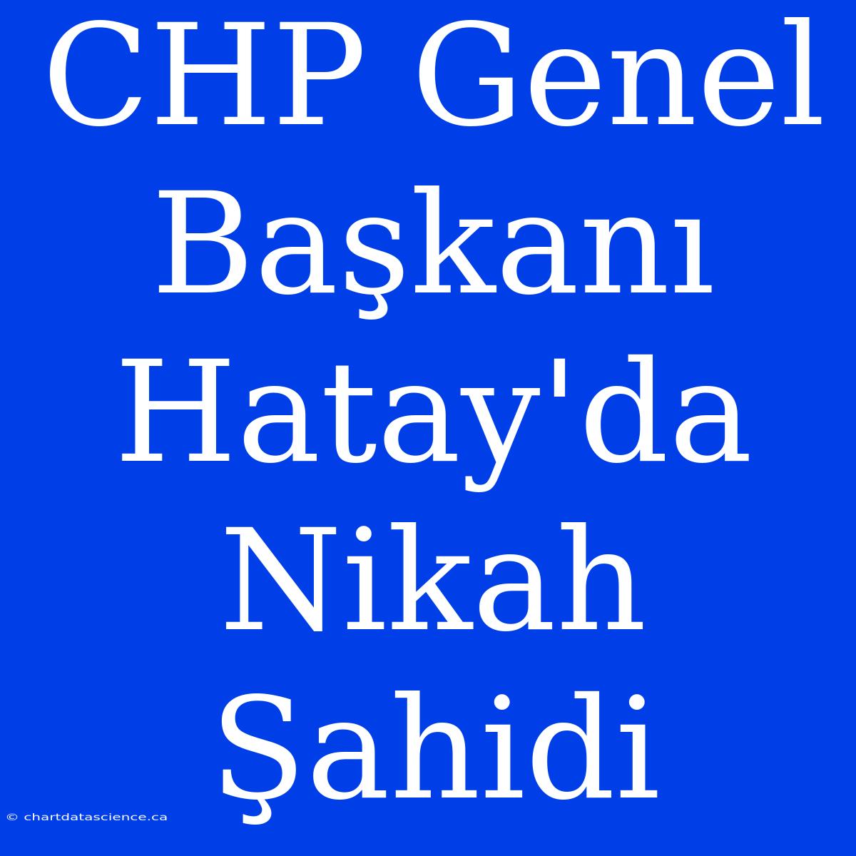 CHP Genel Başkanı Hatay'da Nikah Şahidi