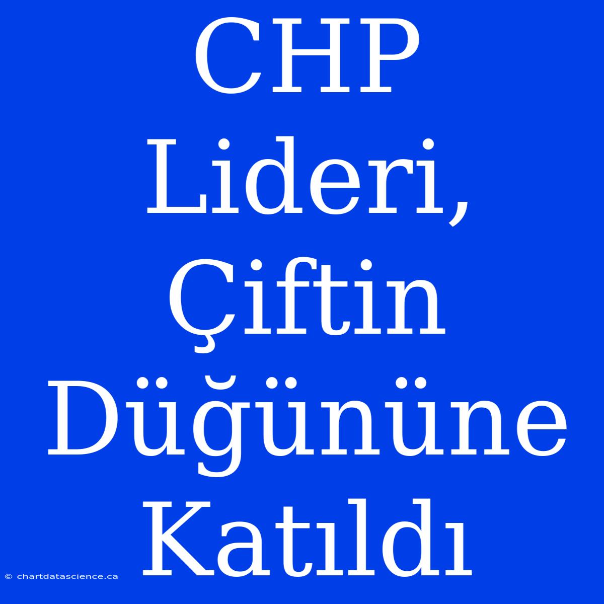 CHP Lideri, Çiftin Düğününe Katıldı