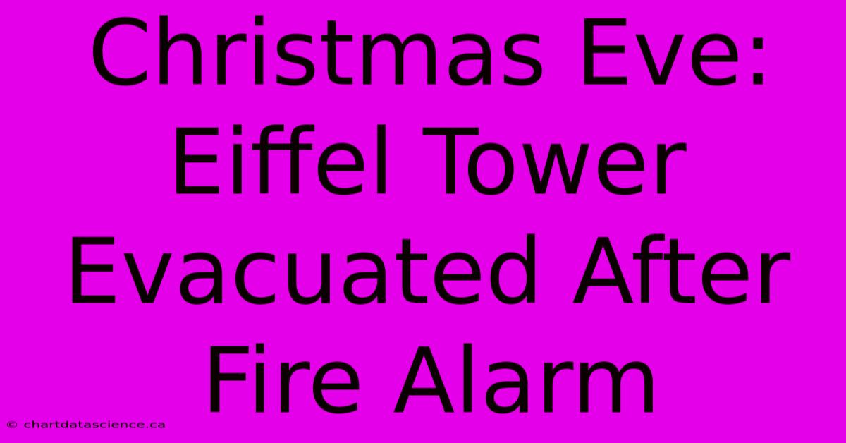 Christmas Eve: Eiffel Tower Evacuated After Fire Alarm