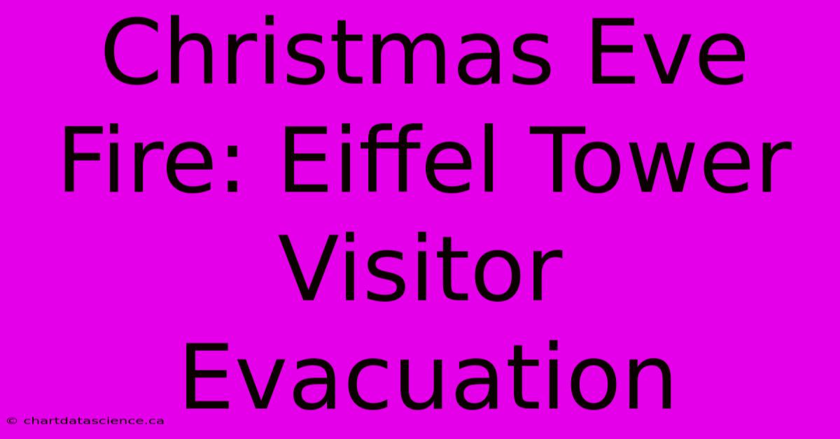 Christmas Eve Fire: Eiffel Tower Visitor Evacuation