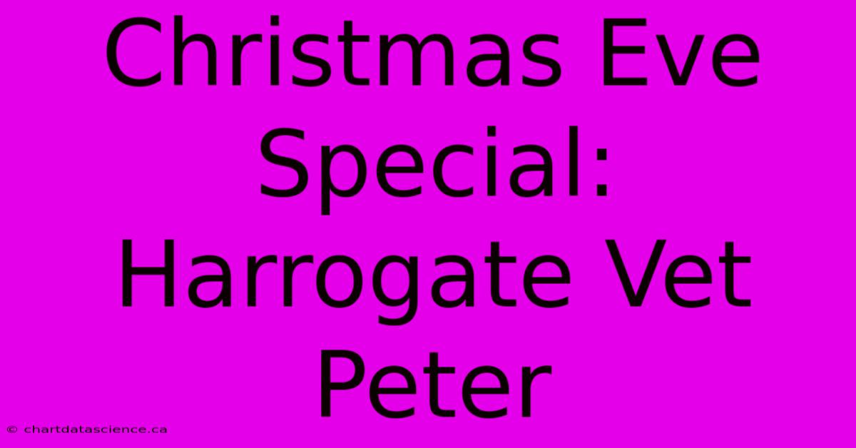 Christmas Eve Special: Harrogate Vet Peter