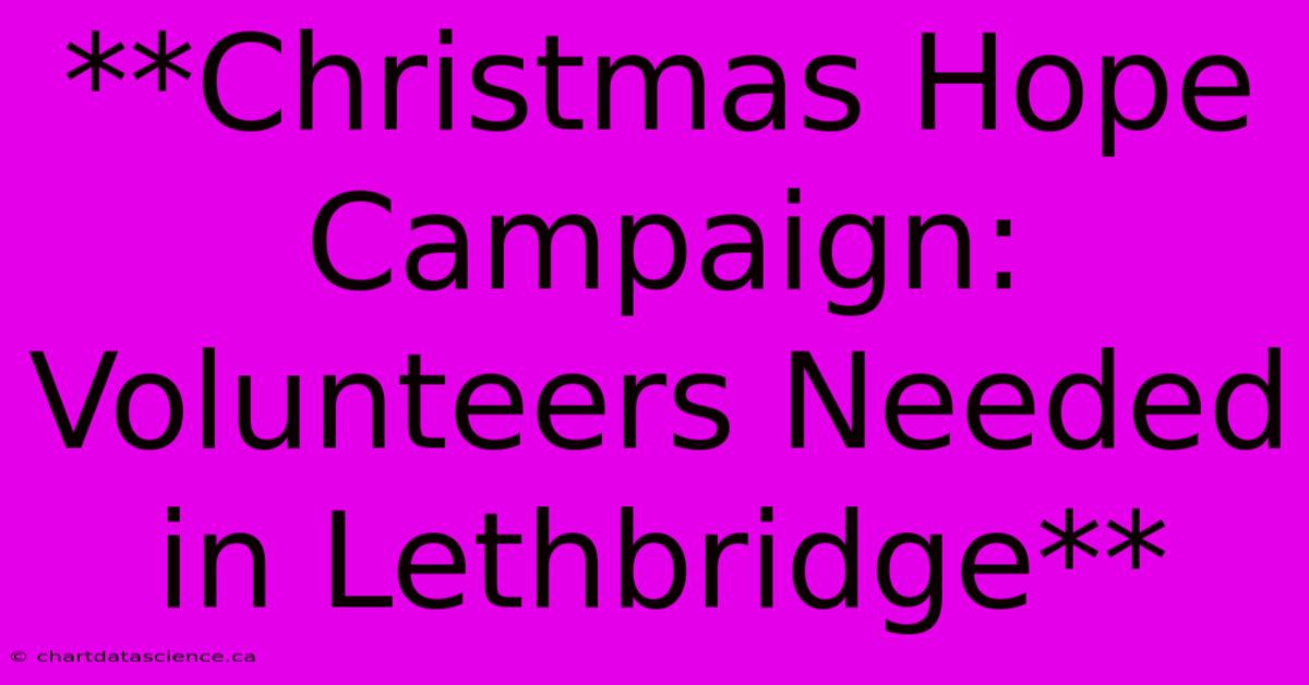 **Christmas Hope Campaign: Volunteers Needed In Lethbridge**