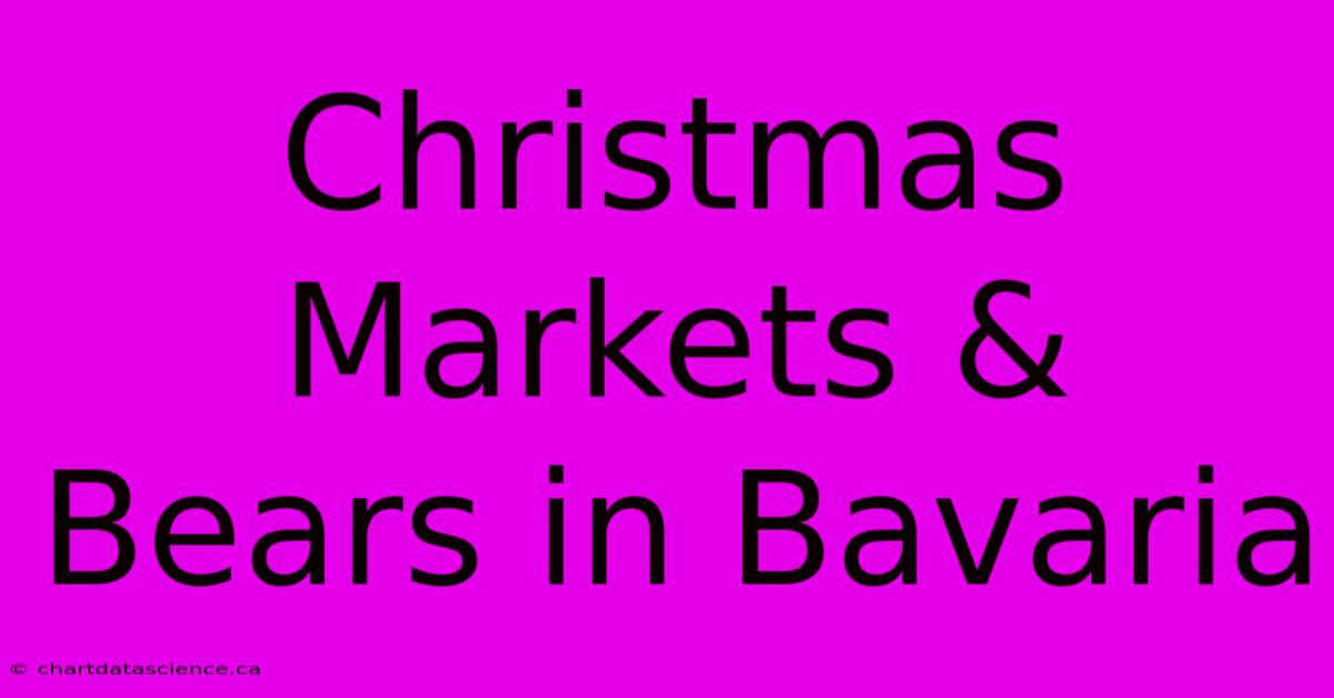 Christmas Markets & Bears In Bavaria