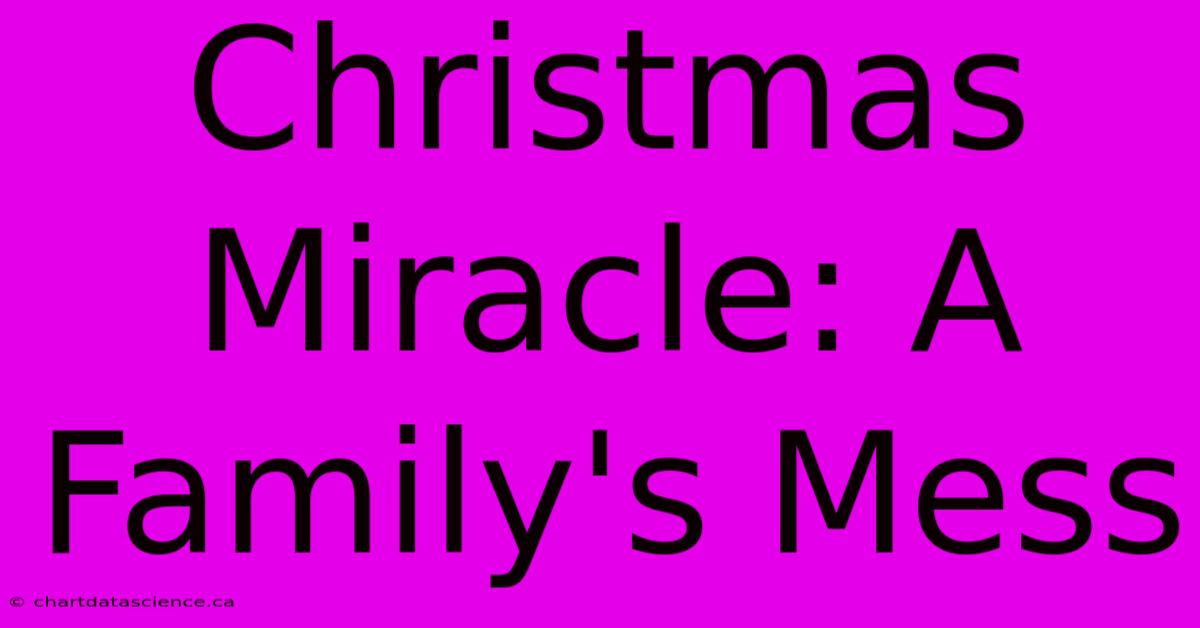 Christmas Miracle: A Family's Mess