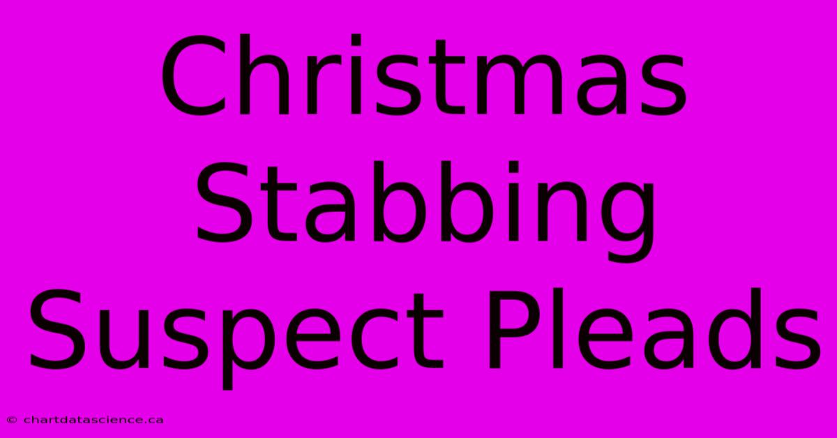 Christmas Stabbing Suspect Pleads