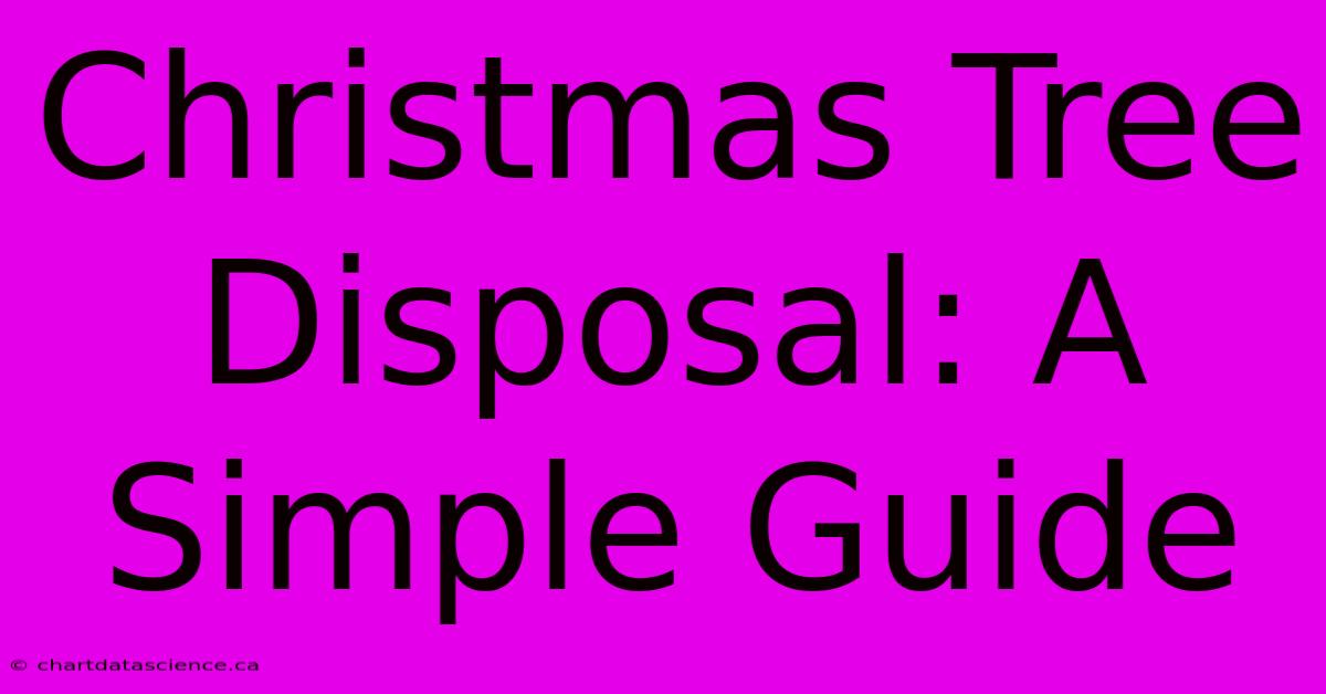 Christmas Tree Disposal: A Simple Guide