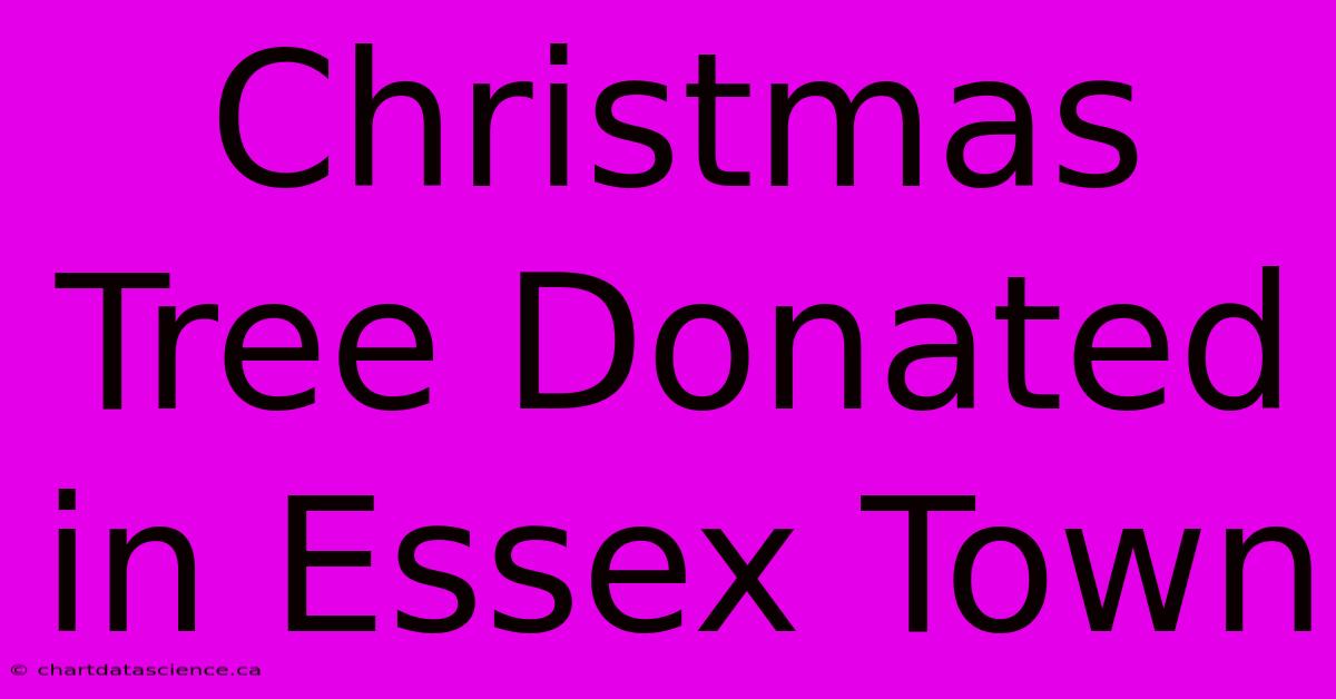 Christmas Tree Donated In Essex Town