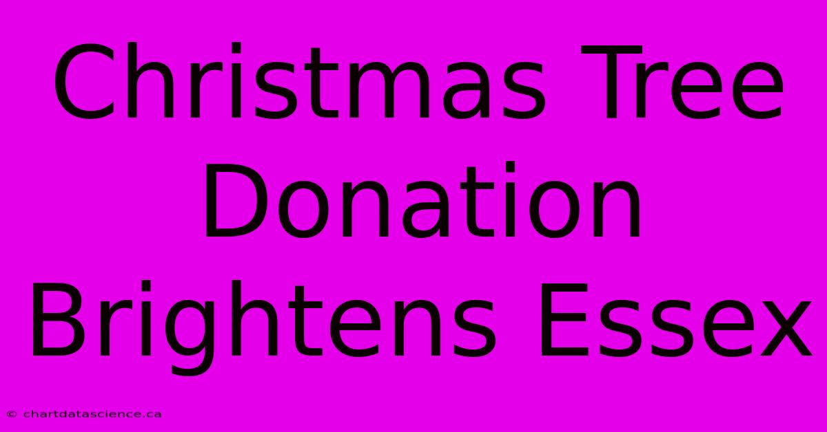 Christmas Tree Donation Brightens Essex