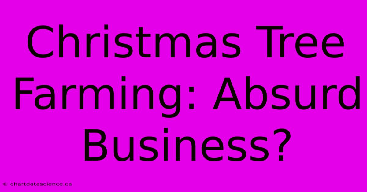 Christmas Tree Farming: Absurd Business?