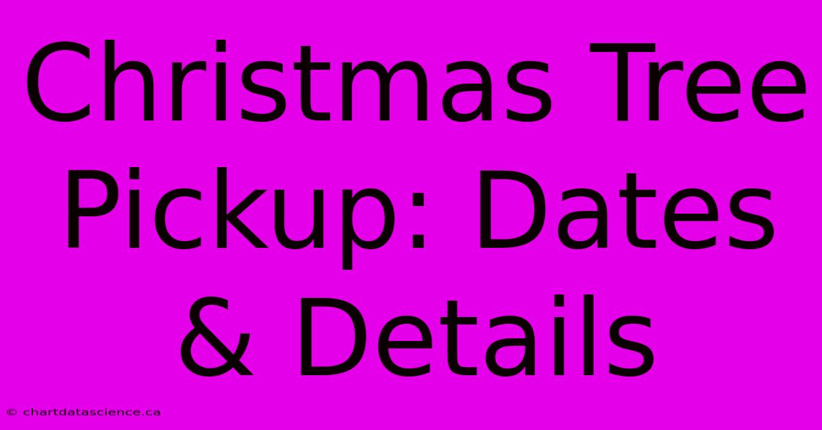 Christmas Tree Pickup: Dates & Details