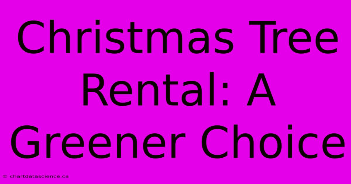 Christmas Tree Rental: A Greener Choice