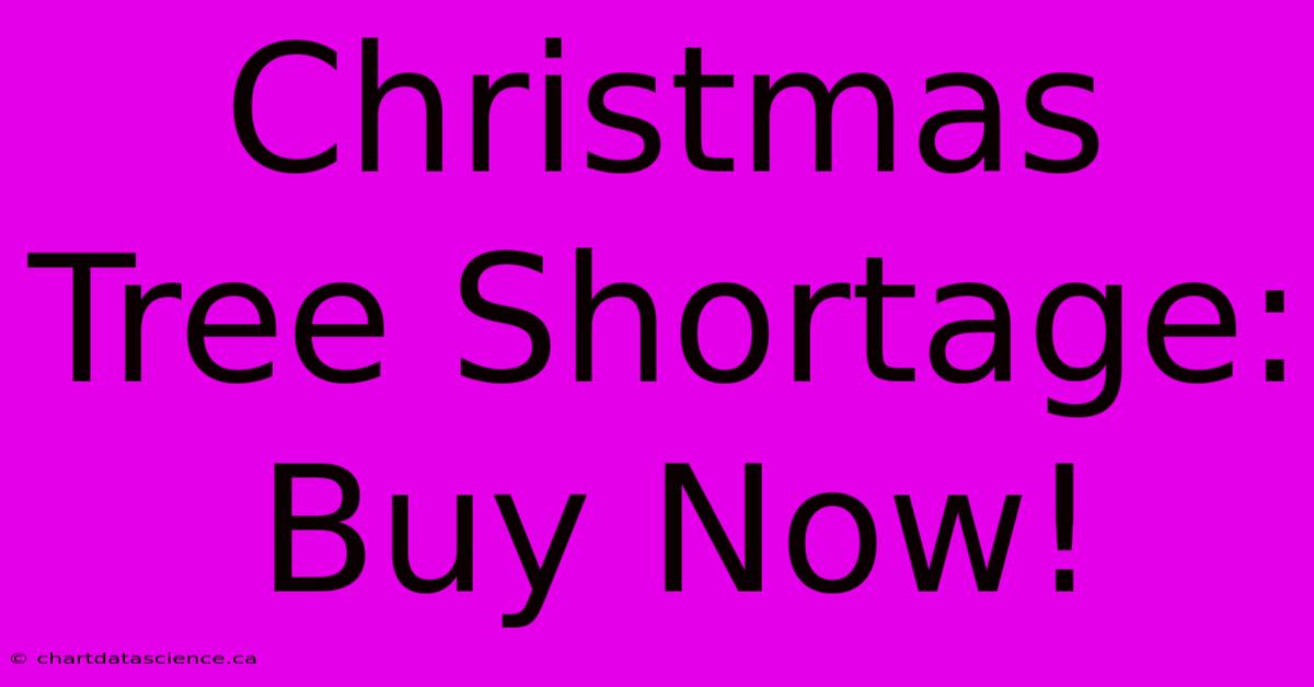 Christmas Tree Shortage: Buy Now!