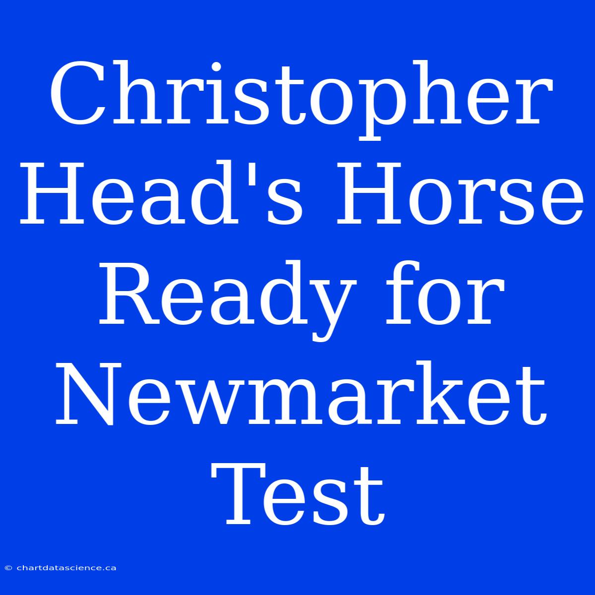 Christopher Head's Horse Ready For Newmarket Test