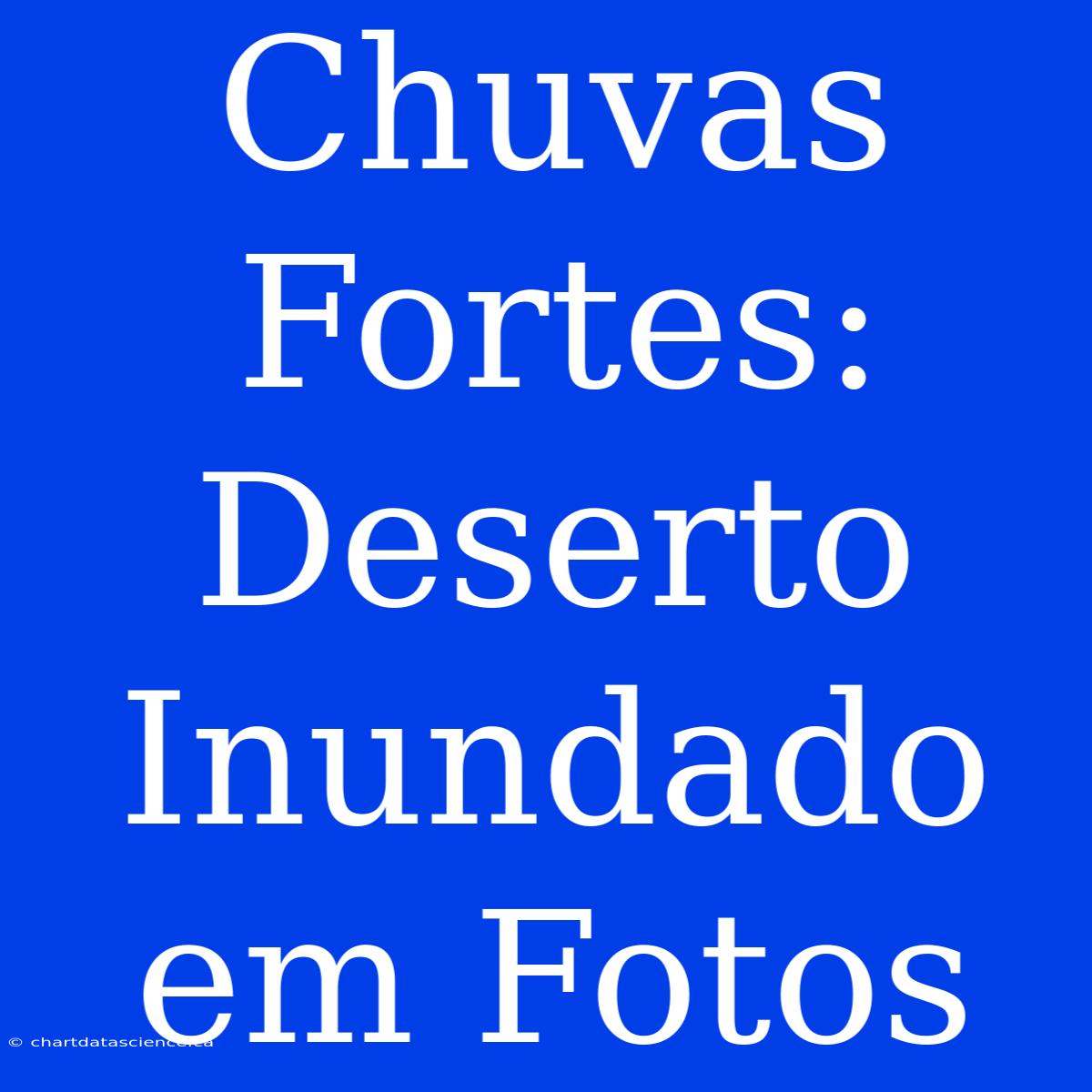 Chuvas Fortes: Deserto Inundado Em Fotos