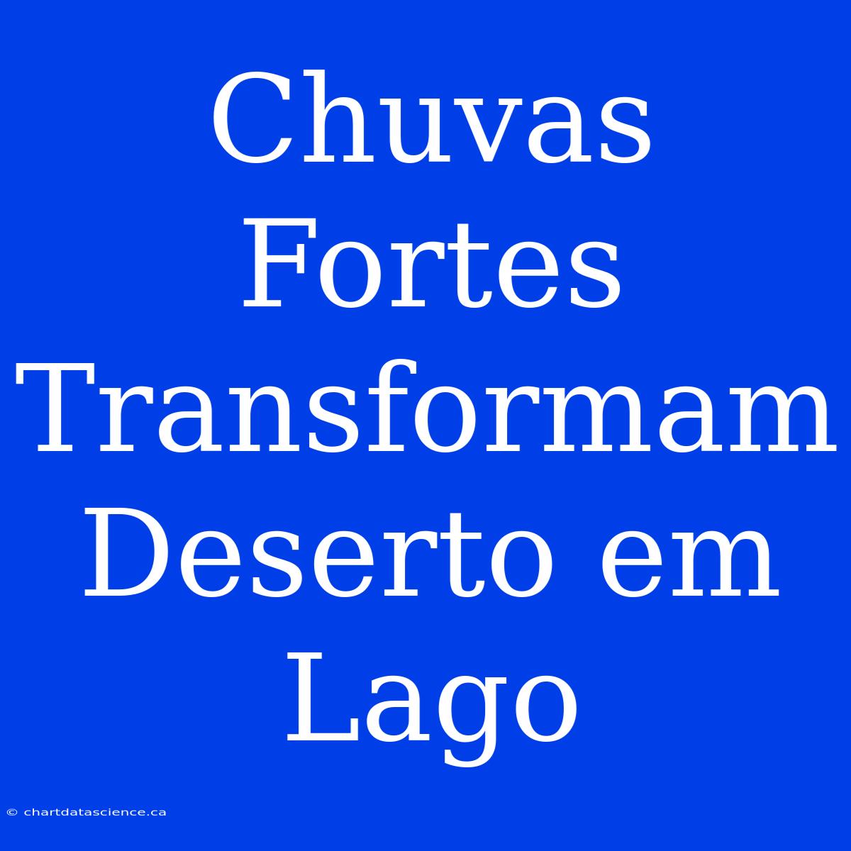 Chuvas Fortes Transformam Deserto Em Lago