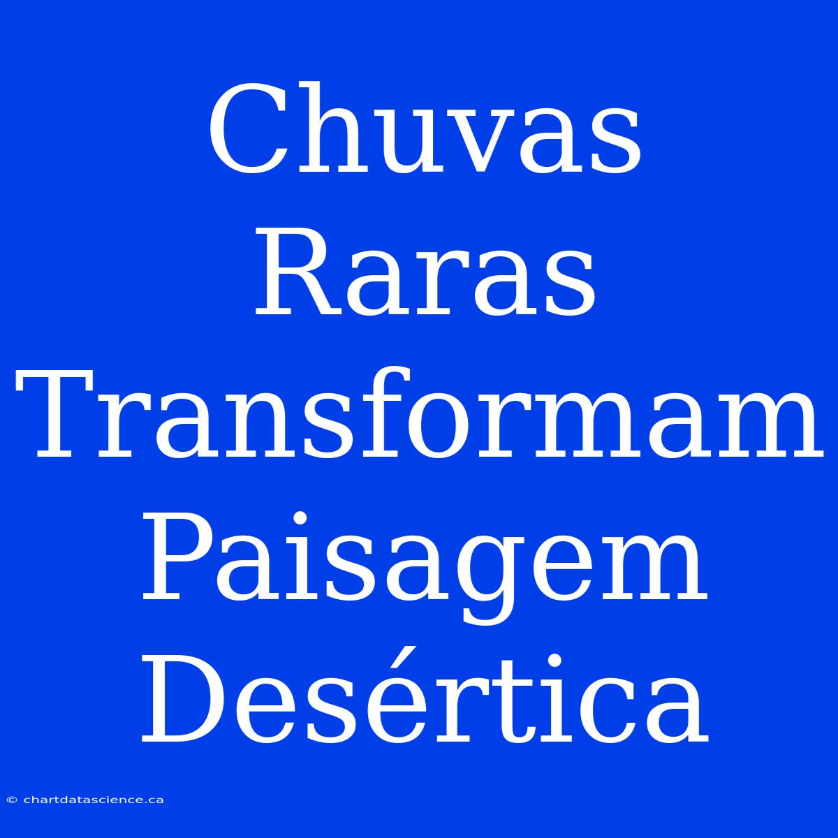 Chuvas Raras Transformam Paisagem Desértica