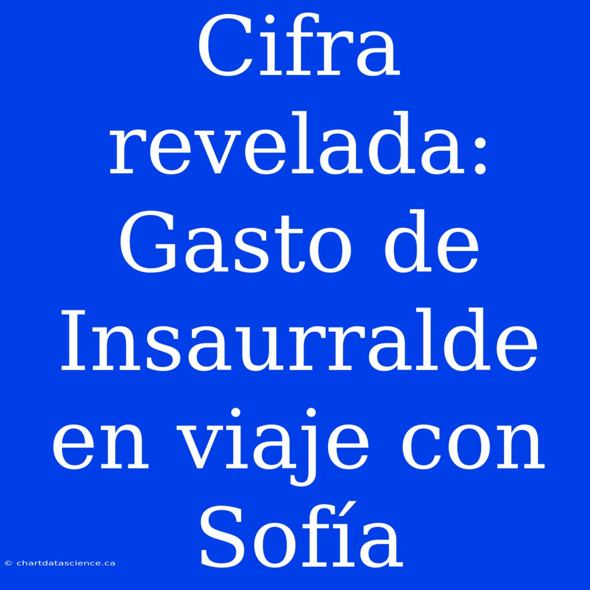 Cifra Revelada: Gasto De Insaurralde En Viaje Con Sofía