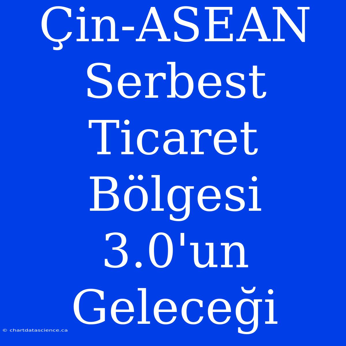 Çin-ASEAN Serbest Ticaret Bölgesi 3.0'un Geleceği