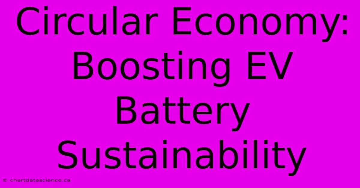 Circular Economy:  Boosting EV Battery Sustainability