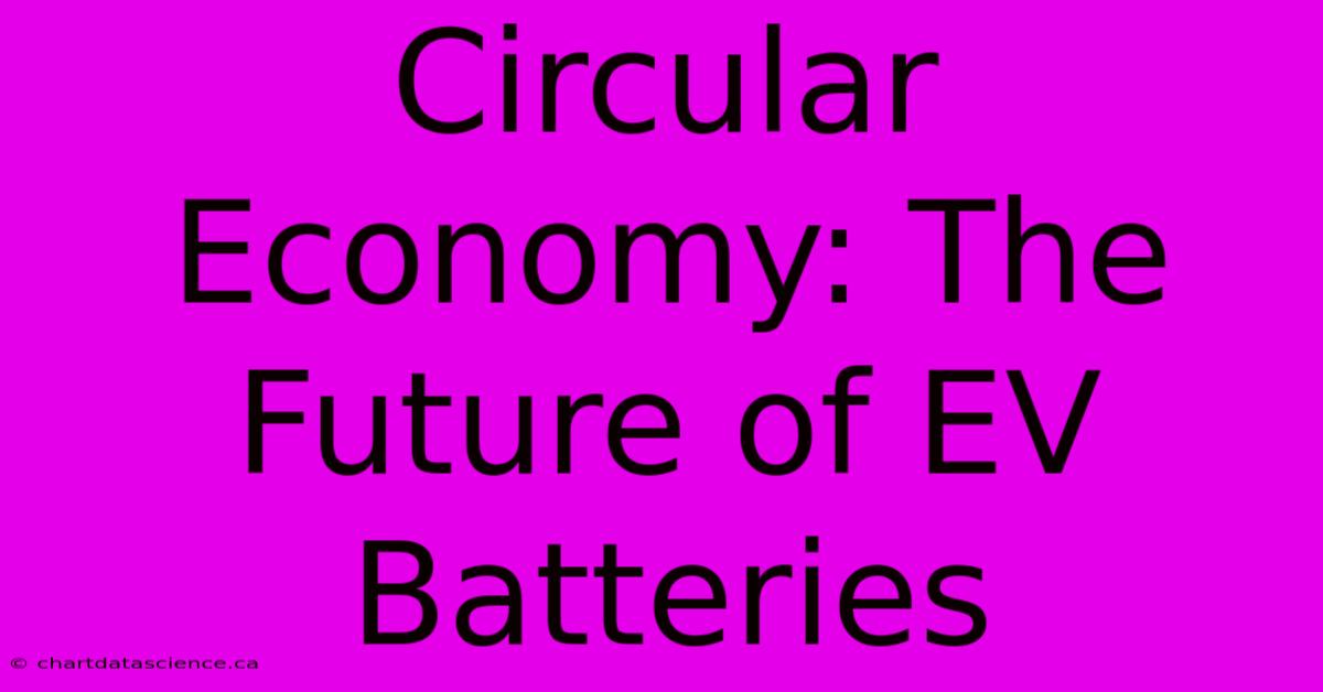 Circular Economy: The Future Of EV Batteries